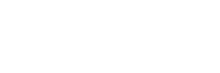 geminiTech Solutions